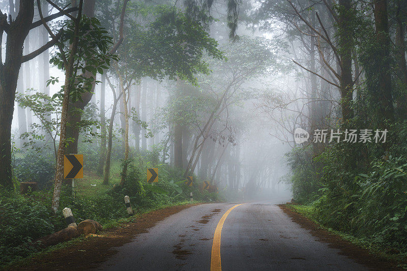 美丽的早晨道路在雾在Doi Pha Hee，清莱，泰国